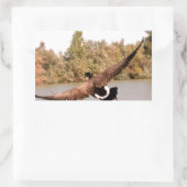 Flugente über Wasserfoto Rechteckiger Aufkleber (Tasche)