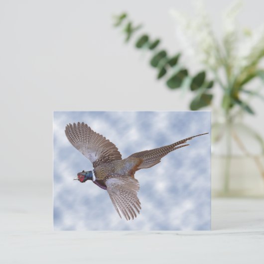 Flugfähigkeit Postkarte (Stehend Vorderseite)