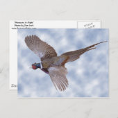 Flugfähigkeit Postkarte (Vorne/Hinten)