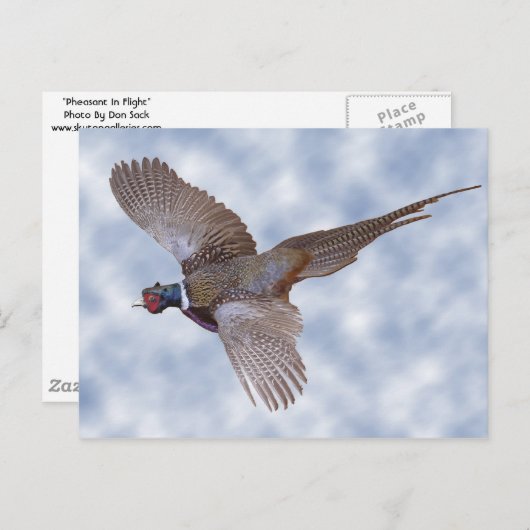 Flugfähigkeit Postkarte (Vorne/Hinten)