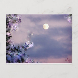 Fluggeschenk Postkarte