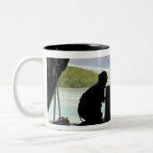 Fluggesellschaften drängen eine Palette gespendete Zweifarbige Tasse (Links)