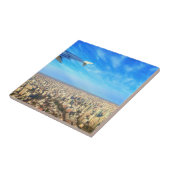 Flughafen Jorge Newbery AEP Fliese (Seite)