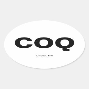 Flughafencode - Cloquet, Minnesota Ovaler Aufkleber