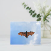 Flughund Postkarte (Stehend Vorderseite)
