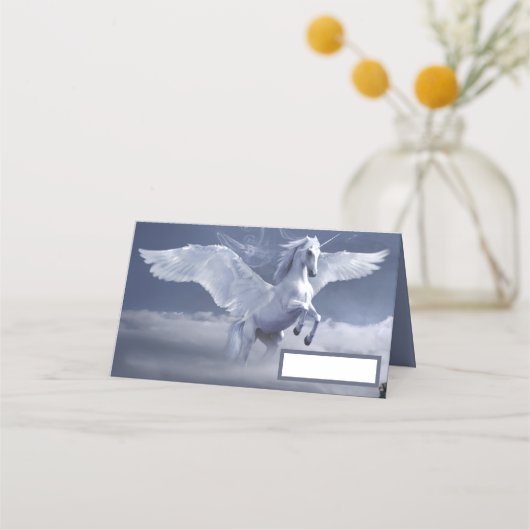 Flugpegasus Platzkarte (Vorderseite)