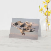 Flugschneegeflügelkarte Karte (Gelbe Blume)