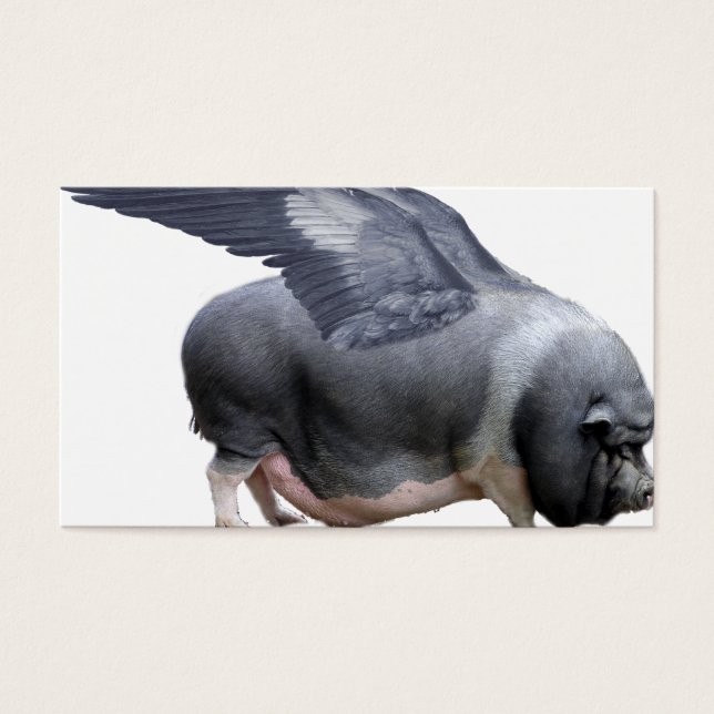 Flugschwein (Vorderseite)