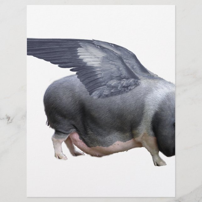 Flugschwein (Vorderseite)