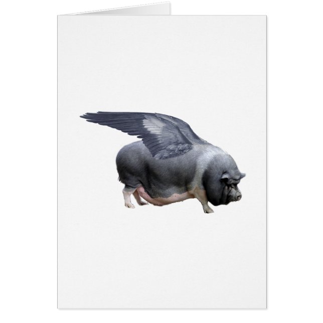 Flugschwein (Vorne)