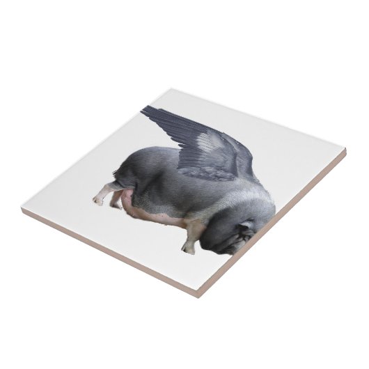 Flugschwein Fliese (Seite)