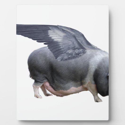 Flugschwein Fotoplatte (Vorderseite)