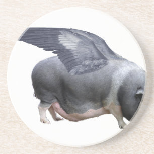 Flugschwein Getränkeuntersetzer