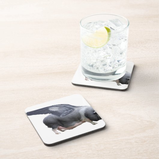 Flugschwein Getränkeuntersetzer (Rechte Seite)