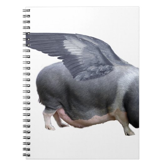 Flugschwein Notizblock (Vorderseite)