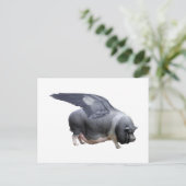 Flugschwein Postkarte (Stehend Vorderseite)