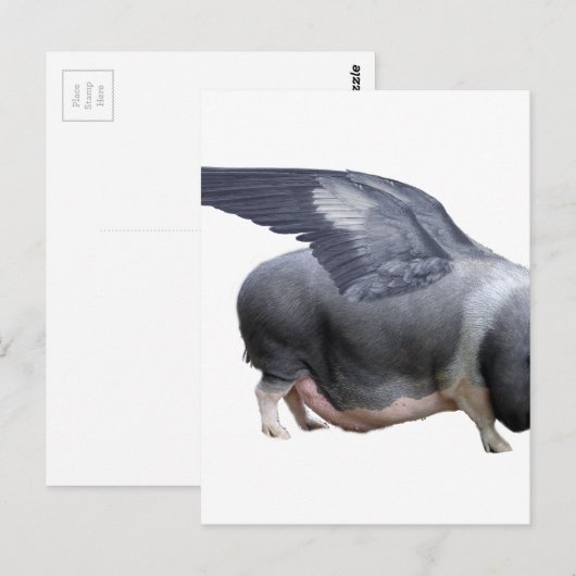 Flugschwein Postkarte (Vorne/Hinten)