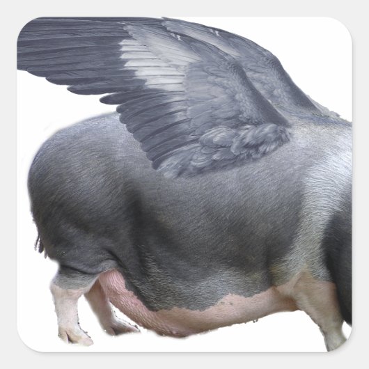 Flugschwein Quadratischer Aufkleber (Vorderseite)