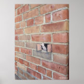 Flugtag Poster (Vorne)