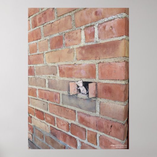 Flugtag Poster (Vorne)