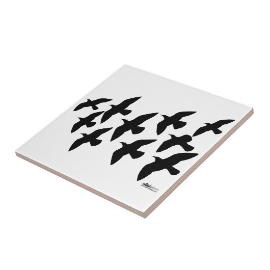 Flugtauben Fliese (Seite)