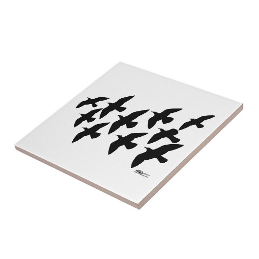 Flugtauben Fliese (Seite)