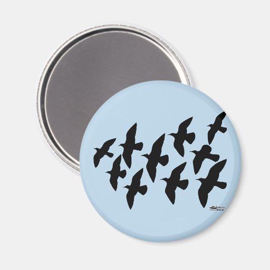 Flugtauben Magnet (Vorderseite/Rückseite)