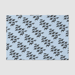 Flugtauben Seidenpapier