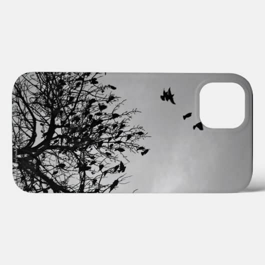 Flugweg Case-Mate iPhone Hülle (Rückseite (Horizontal))