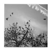 Flugweg Fliese (Vorderseite)