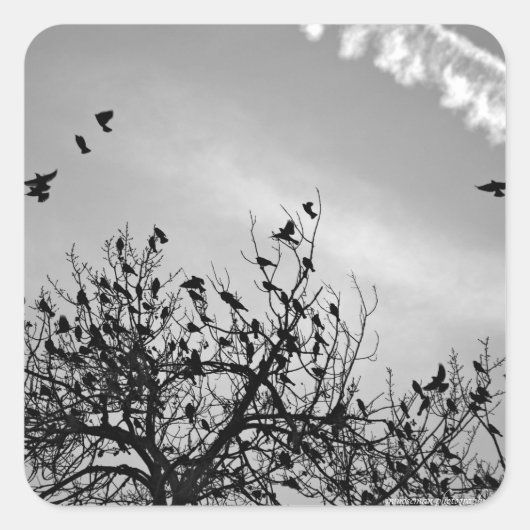 Flugweg Quadratischer Aufkleber (Vorderseite)