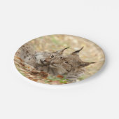 Flugzeug aus Papier. Foto Lynx. Pappteller (Schrägansicht)