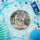 Flugzeug aus Papier. Foto tiger 04. Papierplatte Pappteller (Party)