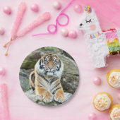 Flugzeug aus Papier. Foto tiger 04. Papierplatte Pappteller (Party)