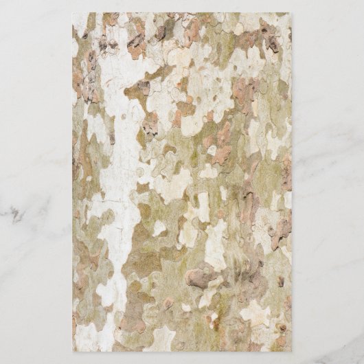 Flugzeug-Baumtarnung sieht wie Rinde-Muster aus Flyer (Hinten)