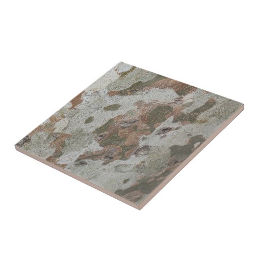 Flugzeug-Baumtarnung sieht wie Rinde-Muster Kerami Fliese (Seite)