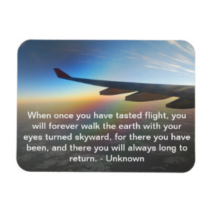 Flugzeug, das gegen die farbenfrohe Einstellung de Magnet