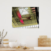 Flugzeug-Decke? (1) Poster (Küche)