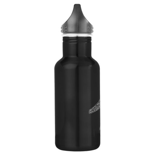 Flugzeug Edelstahlflasche (Links)