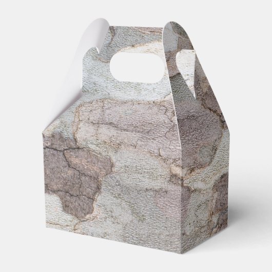 Flugzeug Geschenkschachtel (Rückseite)