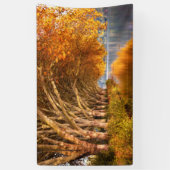 Flugzeug im Herbst über einem See Banner (Vertikal)