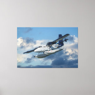 Flugzeug im Himmel Leinwanddruck