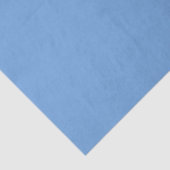 Flugzeug in blau, blau seidenpapier (Ausschnitt)