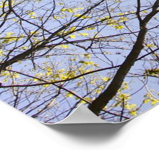 Flugzeug in Sky Gerahmt von Bäumen Poster (Ecke)