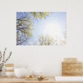 Flugzeug in Sky Gerahmt von Bäumen Poster (Küche)