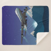 Flugzeug. Jumbo-Jet. Sherpadecke (Vorderseite (Horizontal))