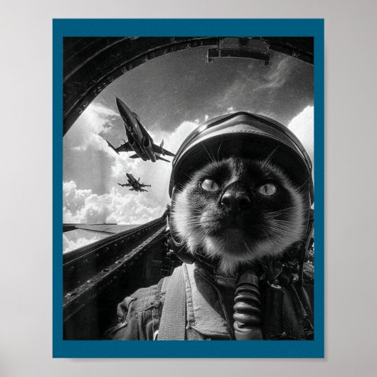 Flugzeug Katze Jet Pilot Selfie Siamese Kämpfer Sp Poster (Vorne)