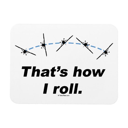 Flugzeug Magnet (Horizontal)