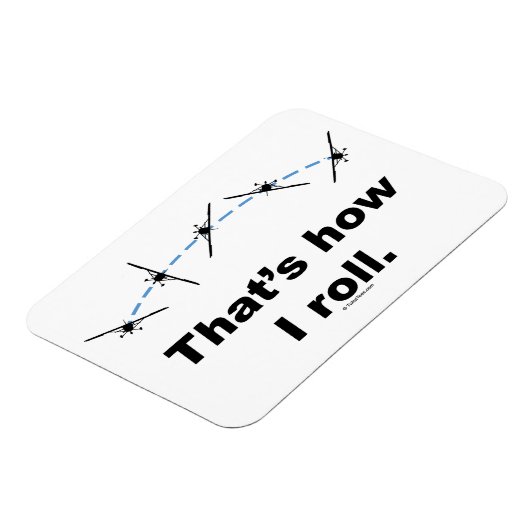 Flugzeug Magnet (Linke Seite)