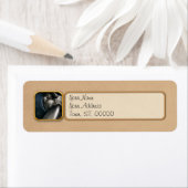 Flugzeug - Pilot - Prop - Sie sind ganz klar (Insitu)